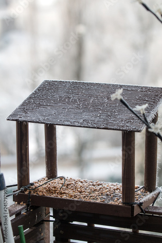  bird feeder in winter with seeds