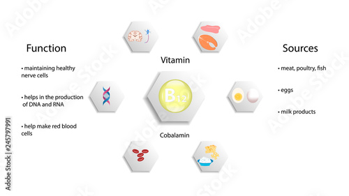 Vitamin B12 vector design. Vitamin B12 function and sources. Cobalamin