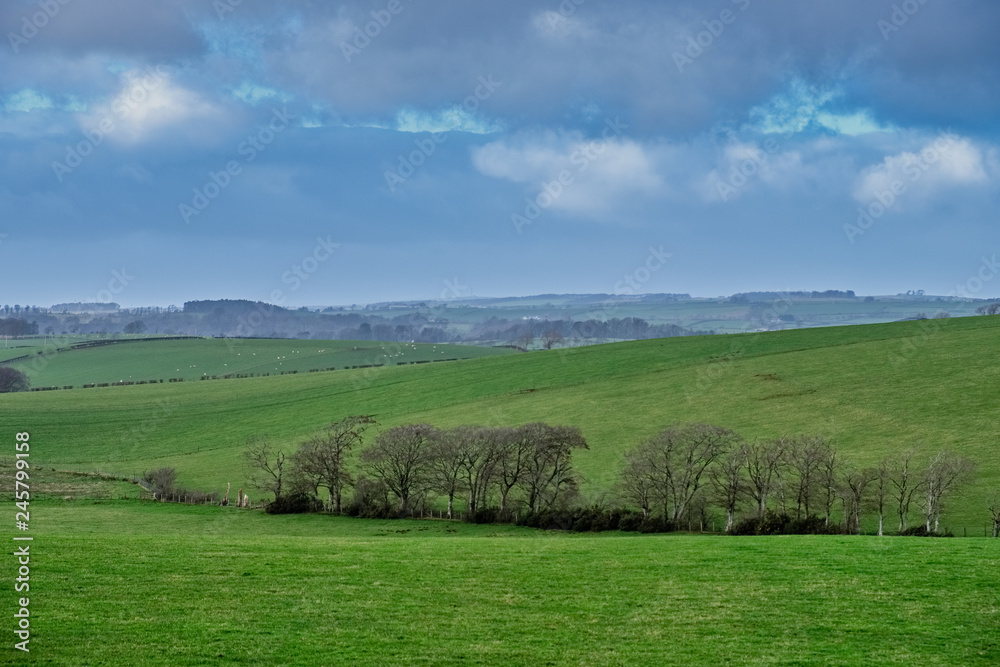 Rolling Ayrshire Fields in Scotland as the Rain is seen comming over the Trees in the Hazy Distance. Rolling Ayrshire Fields in Scotland as the Rain is seen comming over the Trees in the Hazy Distance.