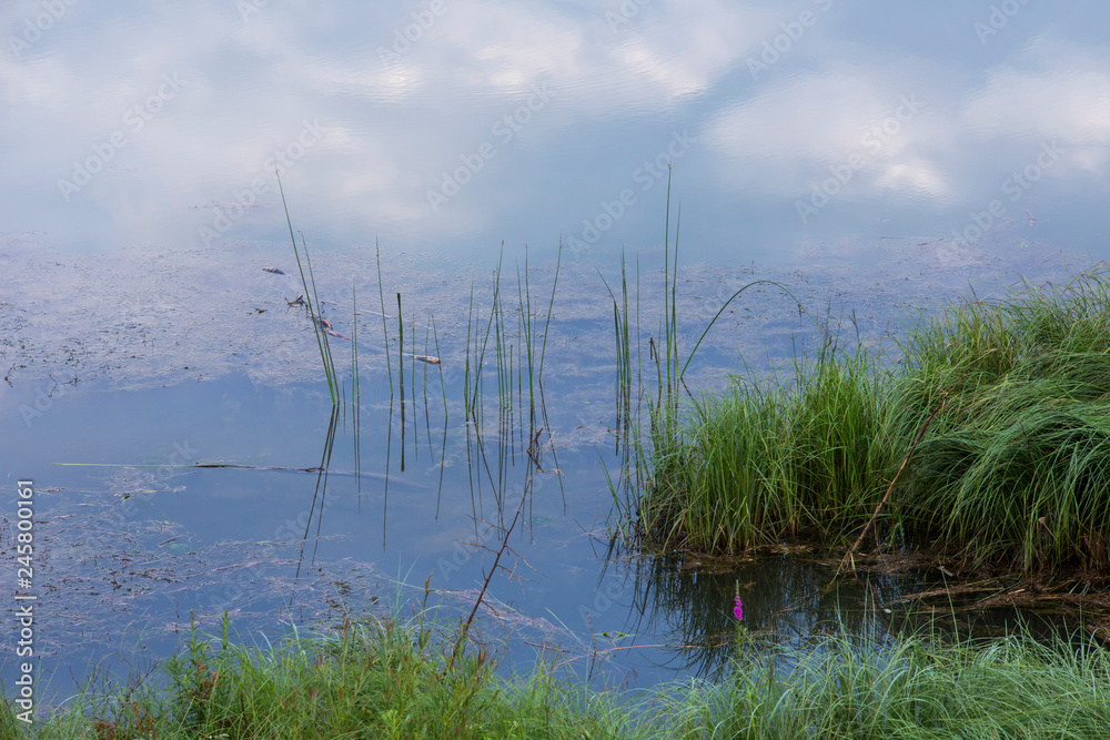 Water, grass and clouds reflecting