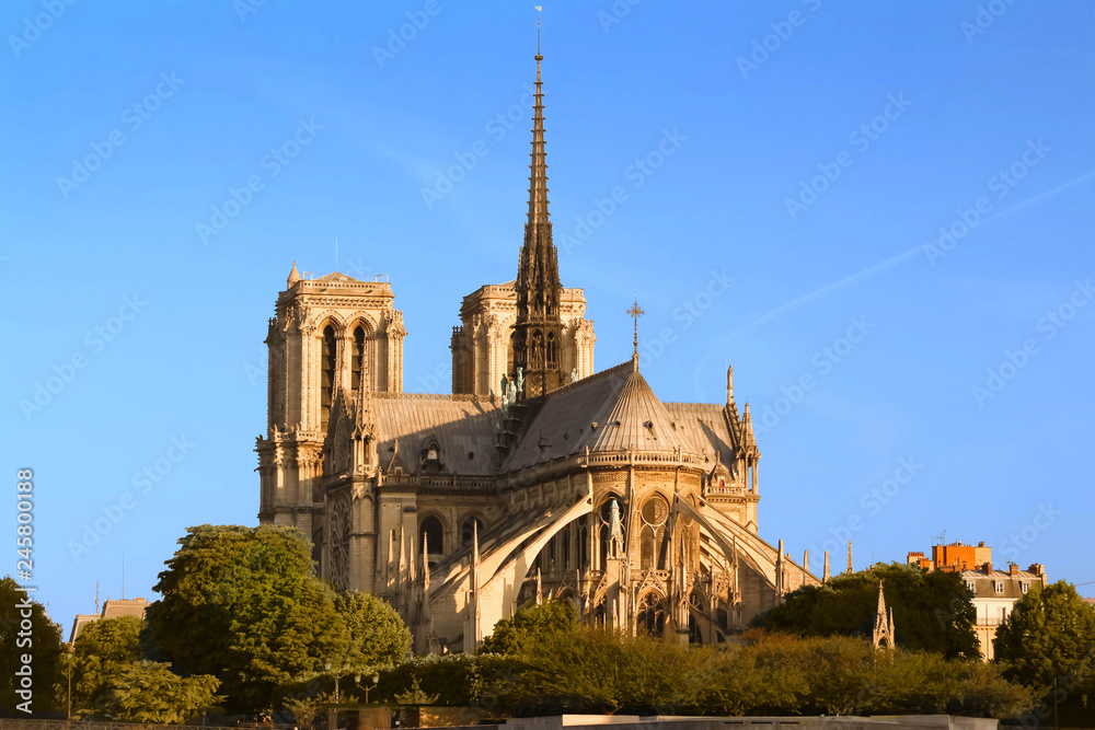 The Notre Dame Cathedral at sunny day , Paris, France.