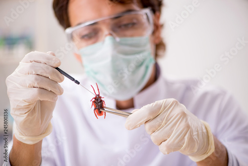 Male entomologist working in the lab on new species photo