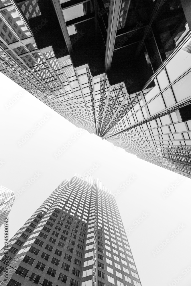 Fototapeta premium skyscrapers in the city looking up