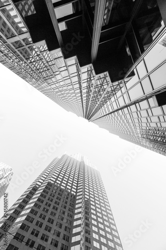 skyscrapers in the city looking up