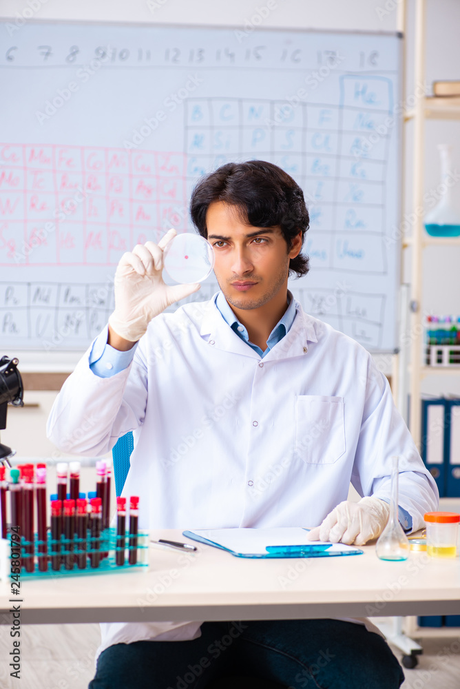 Young chemist working in the lab Young chemist working in the lab