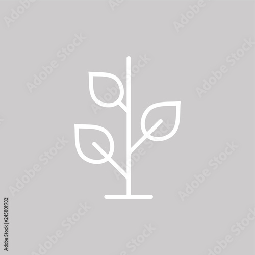 Pflanze Zimmerpflanze - Piktogramm - Symbol Icon Logo - grau weiß 