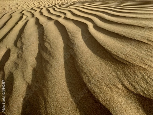 photo of desert