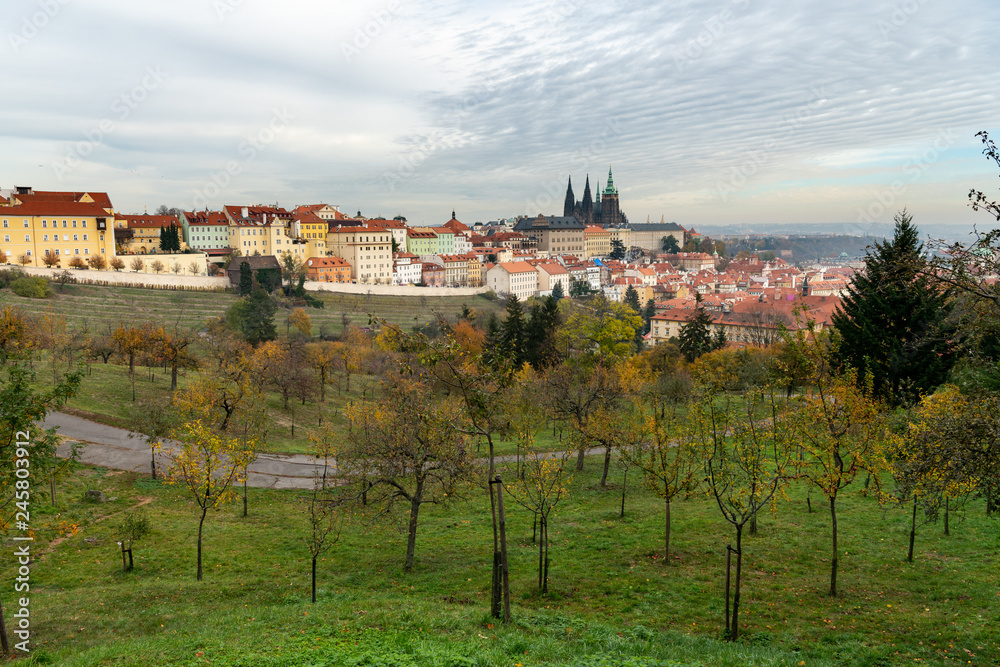 St. Vitus cathedral in Prague on a cloudy day in autumn St. Vitus cathedral in Prague on a cloudy day in autumn