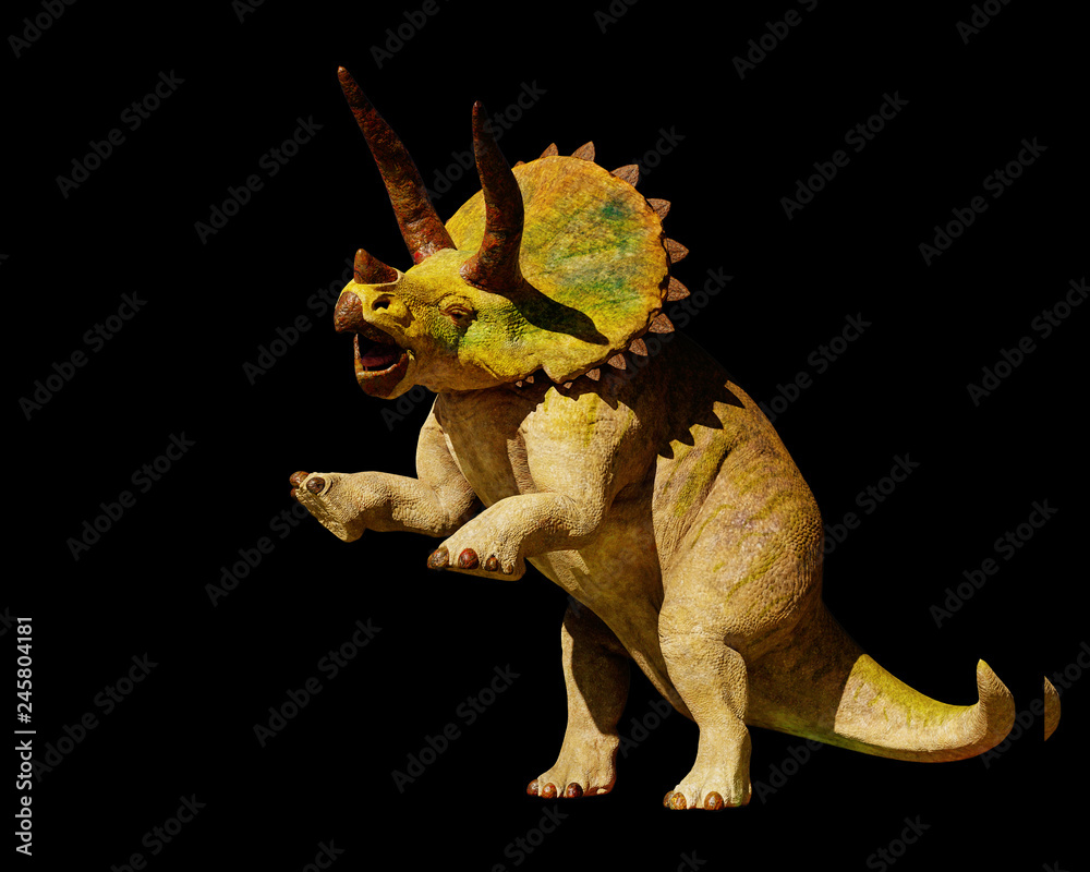 Obraz premium Triceratops horridus dinosaur in action (3d rendering isolated on black background)