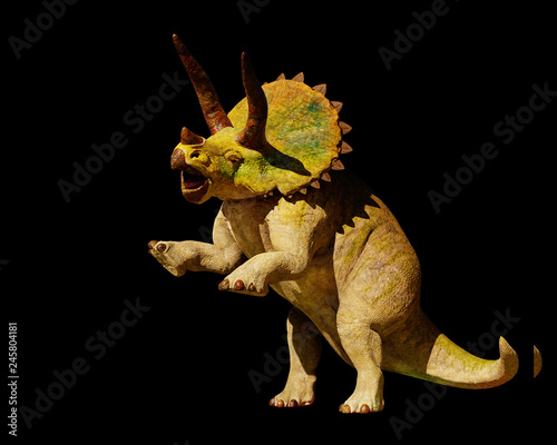 Triceratops horridus dinosaur in action  3d rendering isolated on black background 