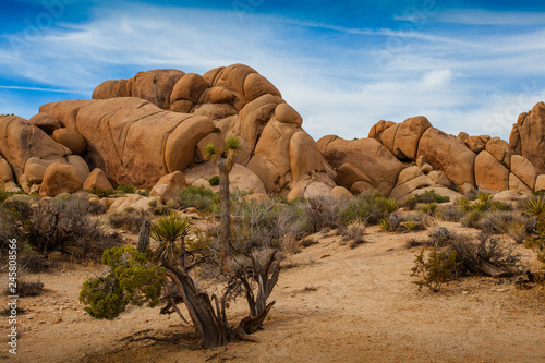 rock in the desert