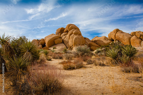 rock in desert