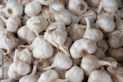 Bunch of organic garlic displayed on sale on farmer's market stand