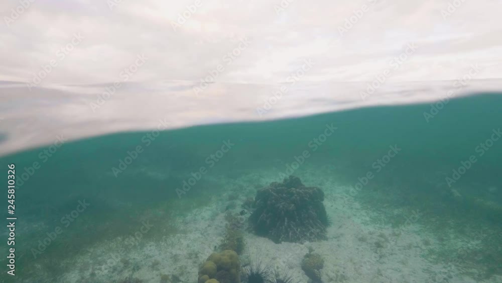 Waterline view blue sea water, coral on sandy bottom and cloudy sky landscape. Underwater view ocean bottom, swimming fish among coral and overcast sky. Marine life and cloudy skyline. Waterline view blue sea water, coral on sandy bottom and cloudy sky landscape. Underwater view ocean bottom, swimming fish among coral and overcast sky. Marine life and cloudy skyline.