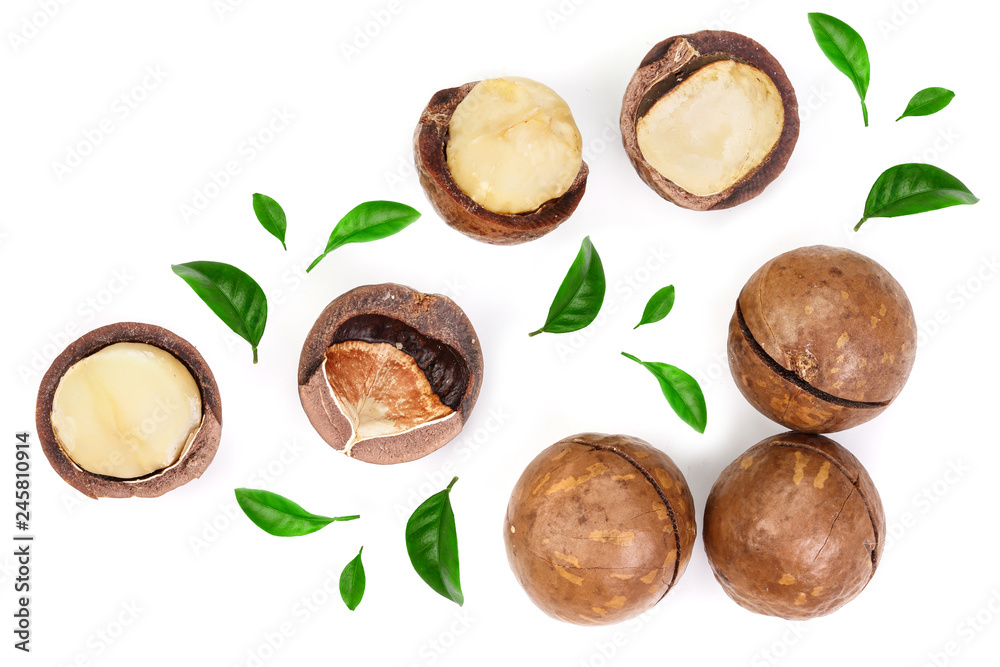 Shelled and unshelled macadamia nuts with leaves isolated on white background. Top view. Flat lay pattern