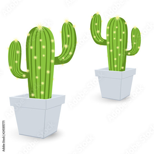 Cactus icon in a pot. Gardening plant icon - plant symbol isolated, plant illustration - Vector. Pot for flowerpots