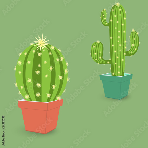 Cactus icon in a pot. Gardening plant icon - plant symbol isolated, plant illustration - Vector. Pot for flowerpots
