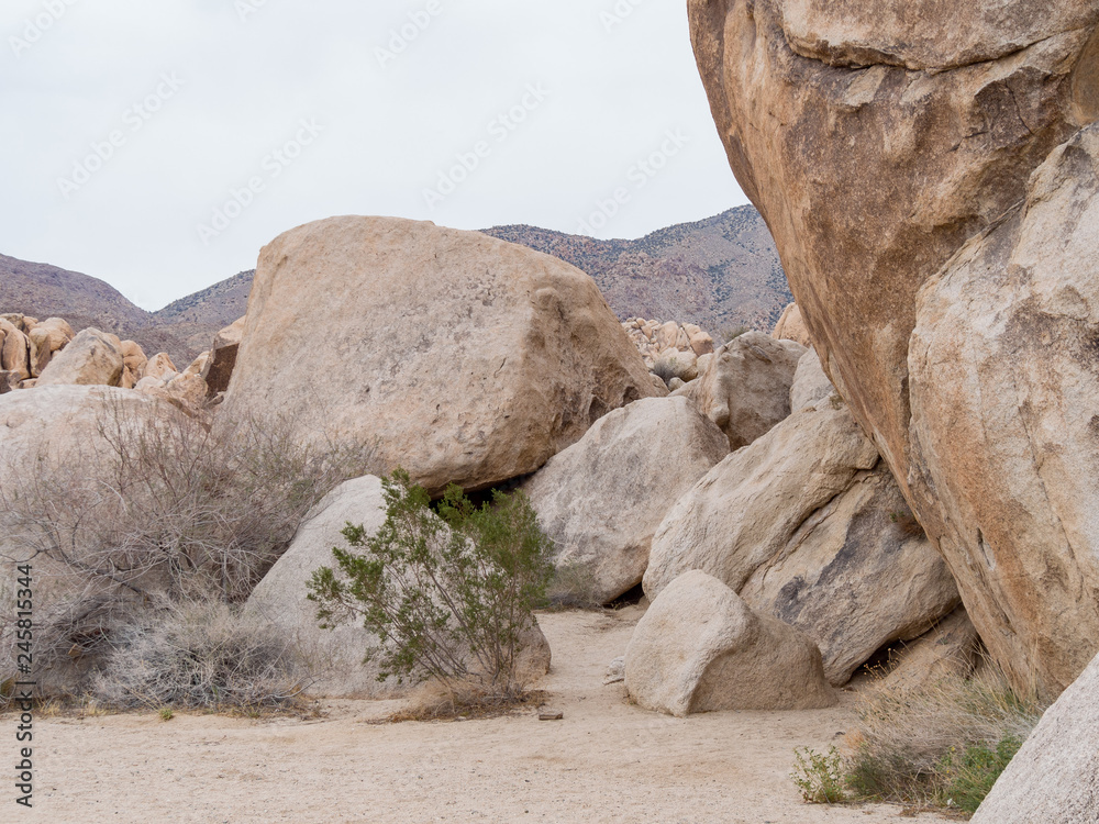 Huge rocks in the Joshua Tree National Park Huge rocks in the Joshua Tree National Park
