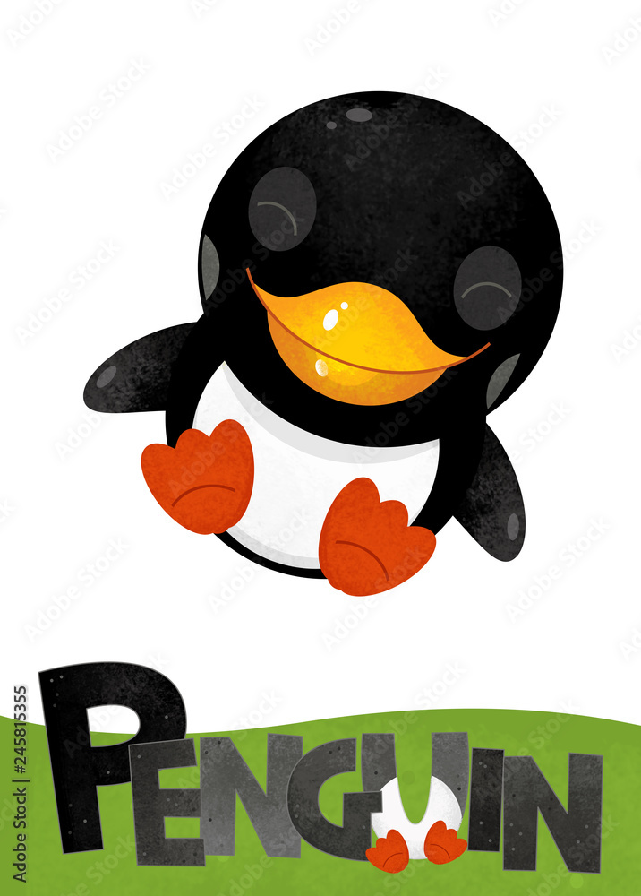 cartoon scene with penguin card on white background with name of animal -  illustration for children Stock Illustration | Adobe Stock