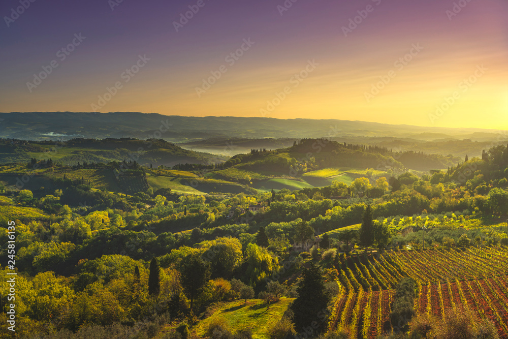 Fototapeta premium Panoramic view of countryside and chianti vineyards from San Gimignano. Tuscany, Italy