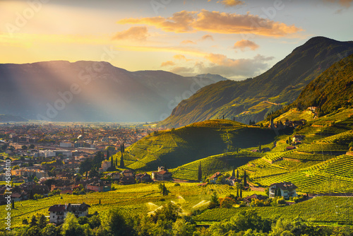 Vineyards view in Santa Maddalena Bolzano. Trentino Alto Adige Sud Tyrol, Italy.