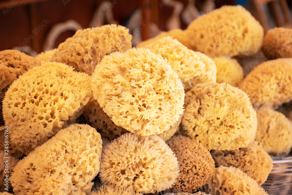 Sea sponge on display in street shop on Symi island (Rhodes, Greece)