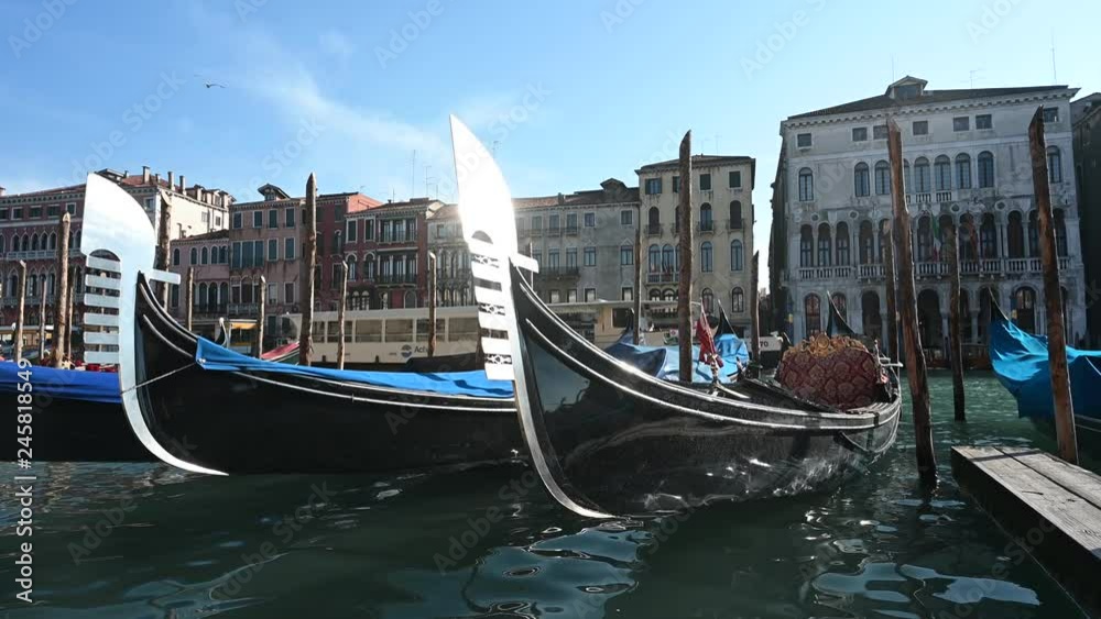 Venice, gondolas in the Grand Canal near the Rialto Bridge