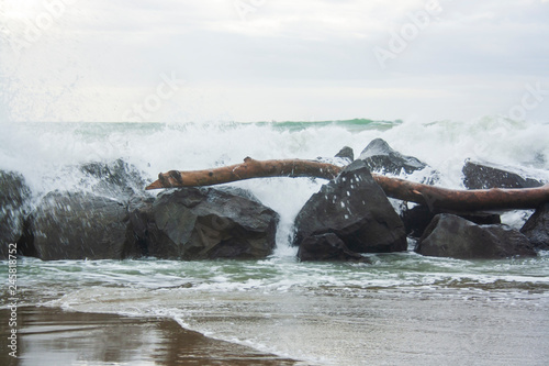 Fiumicino beach 22