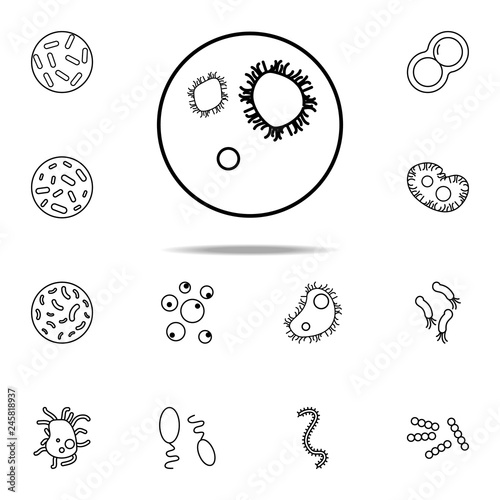 bacteria in vitro icon. Bacteria icons universal set for web and mobile