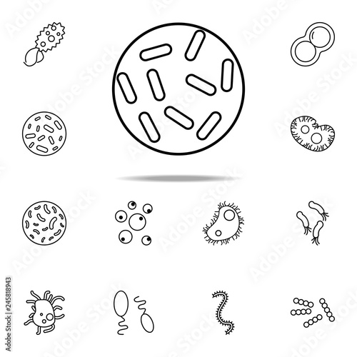bacteria icon. Bacteria icons universal set for web and mobile