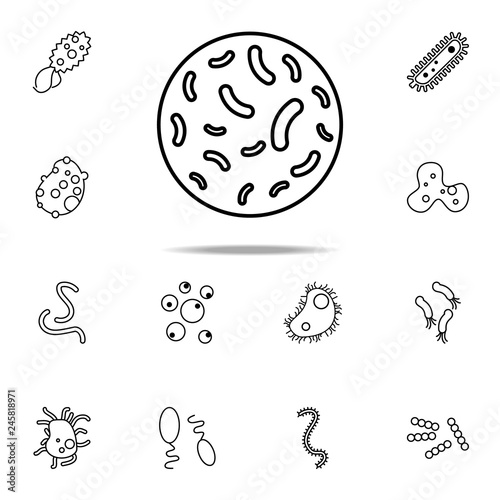 bacteria icon. Bacteria icons universal set for web and mobile