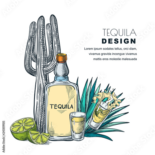 Tequila sketch vector illustration. Bar menu, label or package design. photo