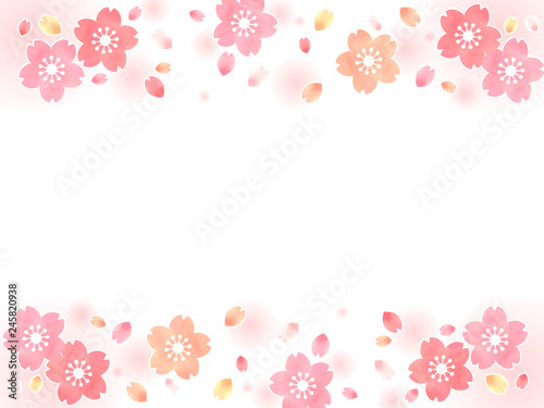 桜の花の背景イラスト