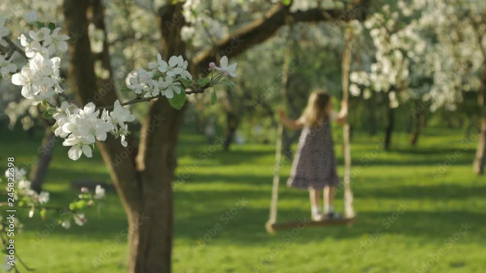 Unrecognizable little two girls enjoying the free time, swaying on a wooden swing seat in a blossoming apple tree garden. Positive emotion, happy childhood. Unrecognizable little two girls enjoying the free time, swaying on a wooden swing seat in a blossoming apple tree garden. Positive emotion, happy childhood.