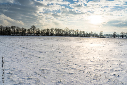 Empty Countryside Landscape in Sunny Winter Day with Snow Covering the Ground, Abstract Background with Deep Look and Dramatic Skies - Concept of Harmony, Peace and Traveling