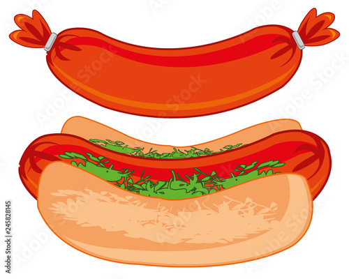 Vector illustration of meal of the quick preparation hot dog