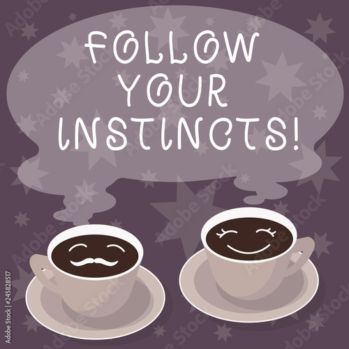 Text sign showing Follow Your Instincts. Conceptual photo listen to your intuition and listen to your heart Sets of Cup Saucer for His and Hers Coffee Face icon with Blank Steam