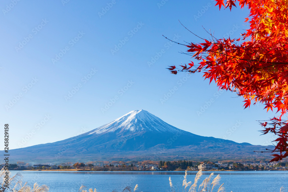 Naklejka premium 富士山と紅葉