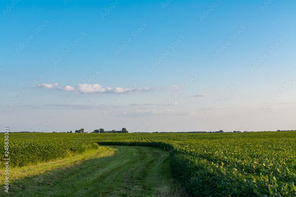 Obraz premium Illinois countryside in the late afternoon
