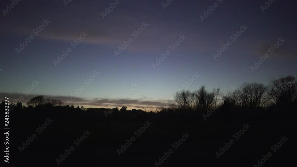 A young man runs in a park during sunset in silhouette A young man runs in a park during sunset in silhouette