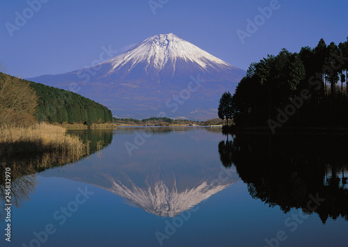 富士山