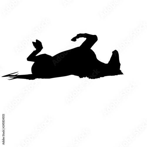 Pferd wälzt sich im Dreck