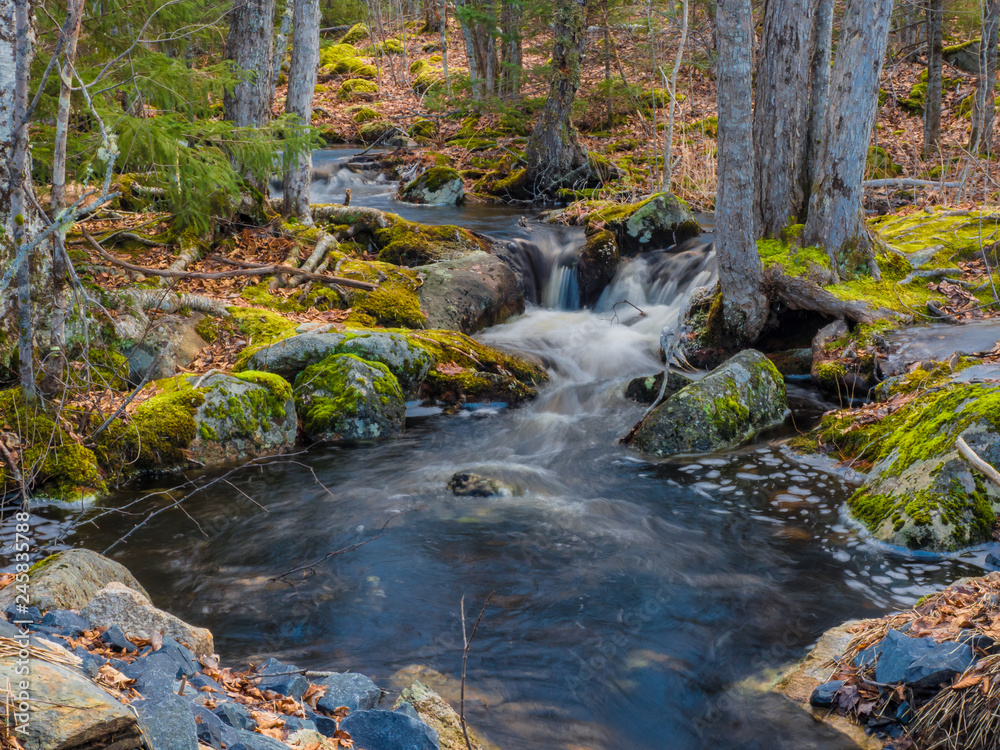 Stream in the forest, woods, no people, flowing Stream in the forest, woods, no people, flowing