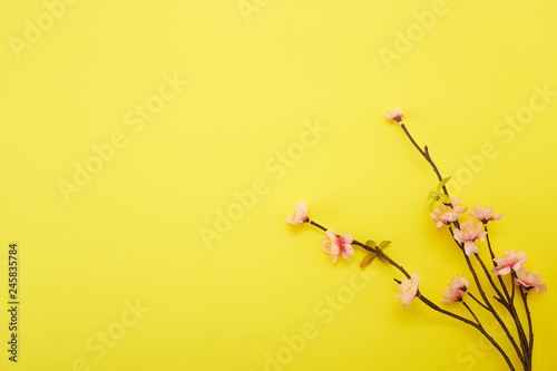 Plum Flowers on yellow background