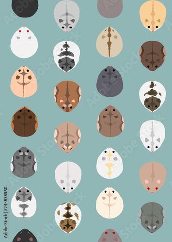 seamless pattern of dwarf hamsters