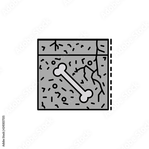 fossil, soil, bone, paleontology icon. Element of history color icon for mobile concept and web apps. Color fossil, soil, bone, paleontology icon can be used for web and mobile