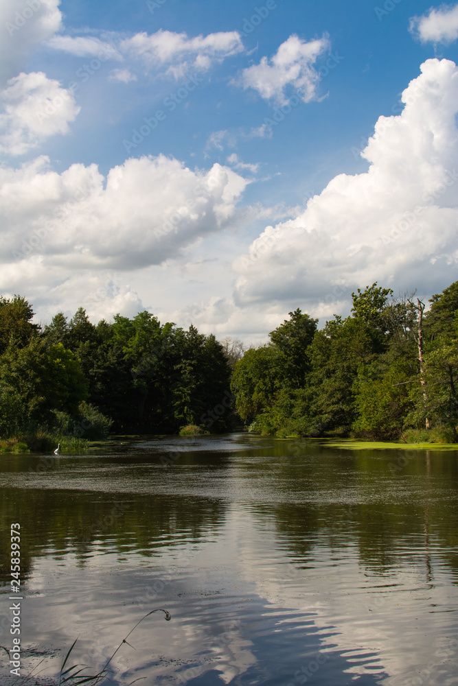 Morning on the Dupage River