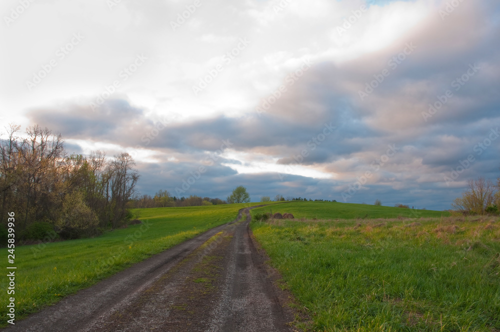 A winding country road in springtime with clouds and blue sky
