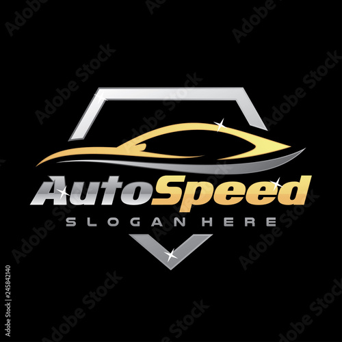 Car Detailing Logo Inspiration  Vector