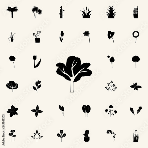 sea buckthorn tree icon. Plants icons universal set for web and mobile